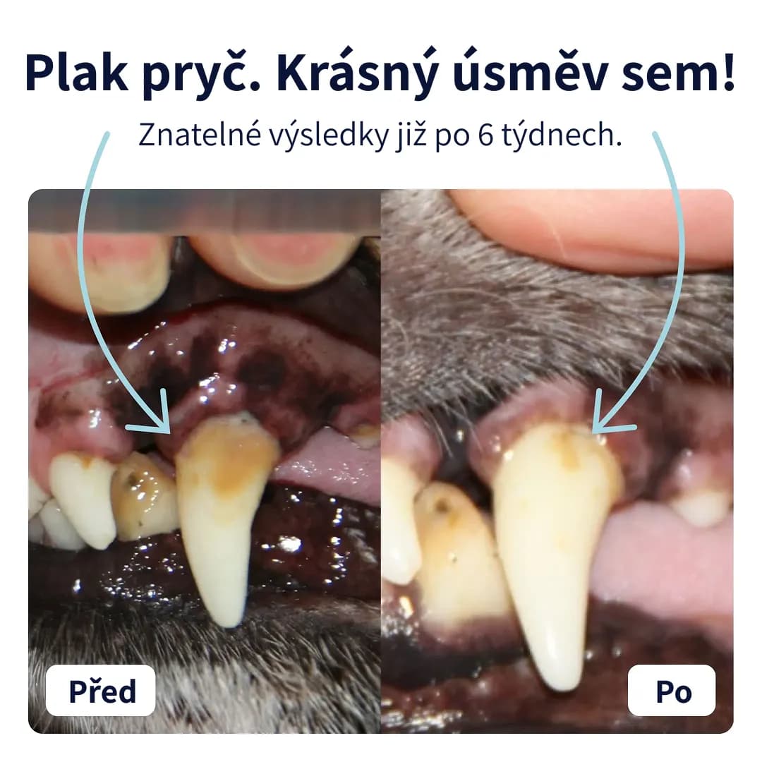 Tipaw Prášek pro péči o zuby 120g