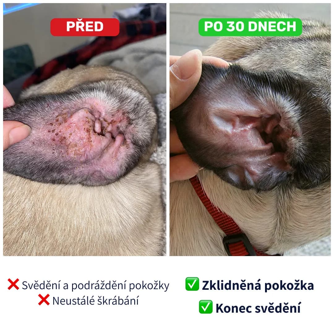 Tipaw Doplněk stravy proti alergiím a svědění 150g