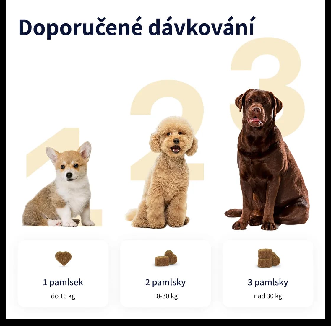 Tipaw Doplněk stravy pro kyčle a klouby 150g