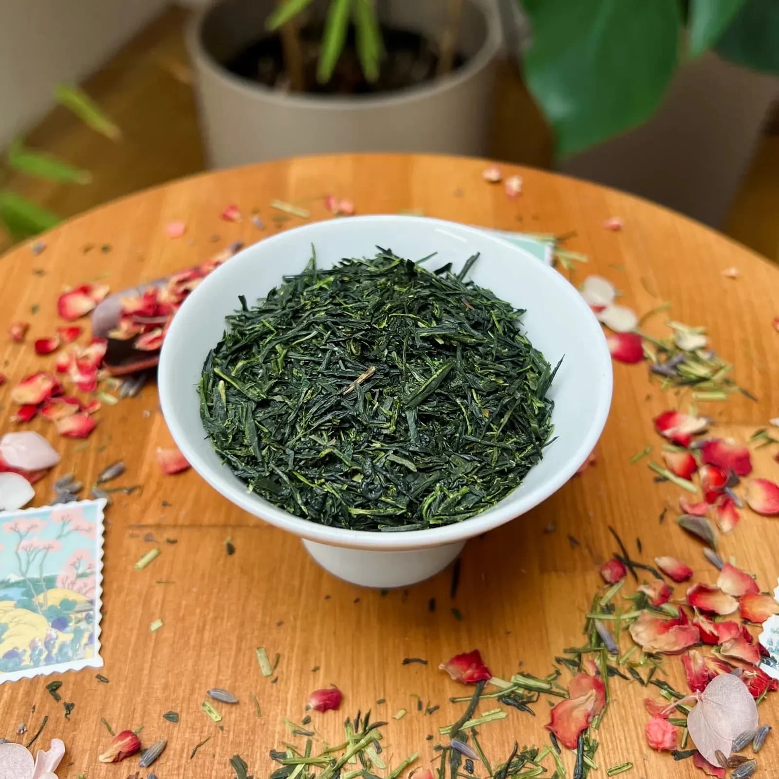 Standard Uji Gyokuro