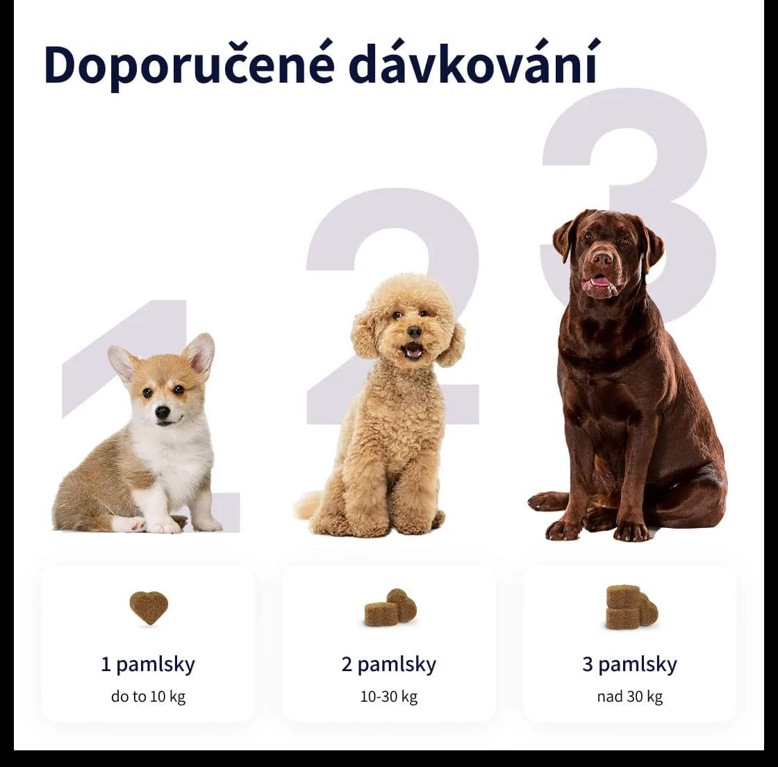 Tipaw Doplněk stravy s probiotiky pro trávení 150g