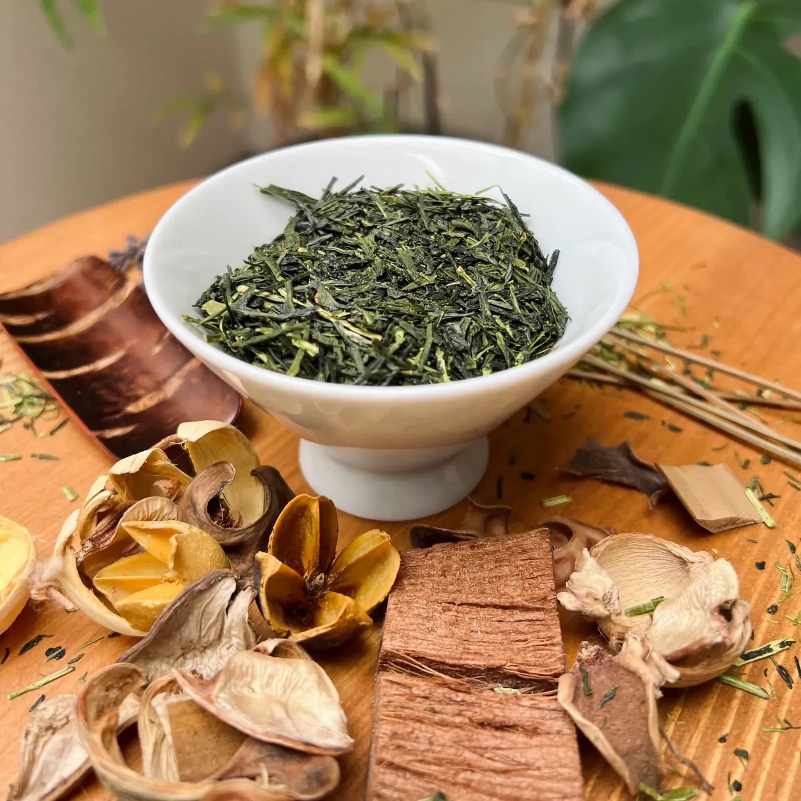 Sencha Hisoka