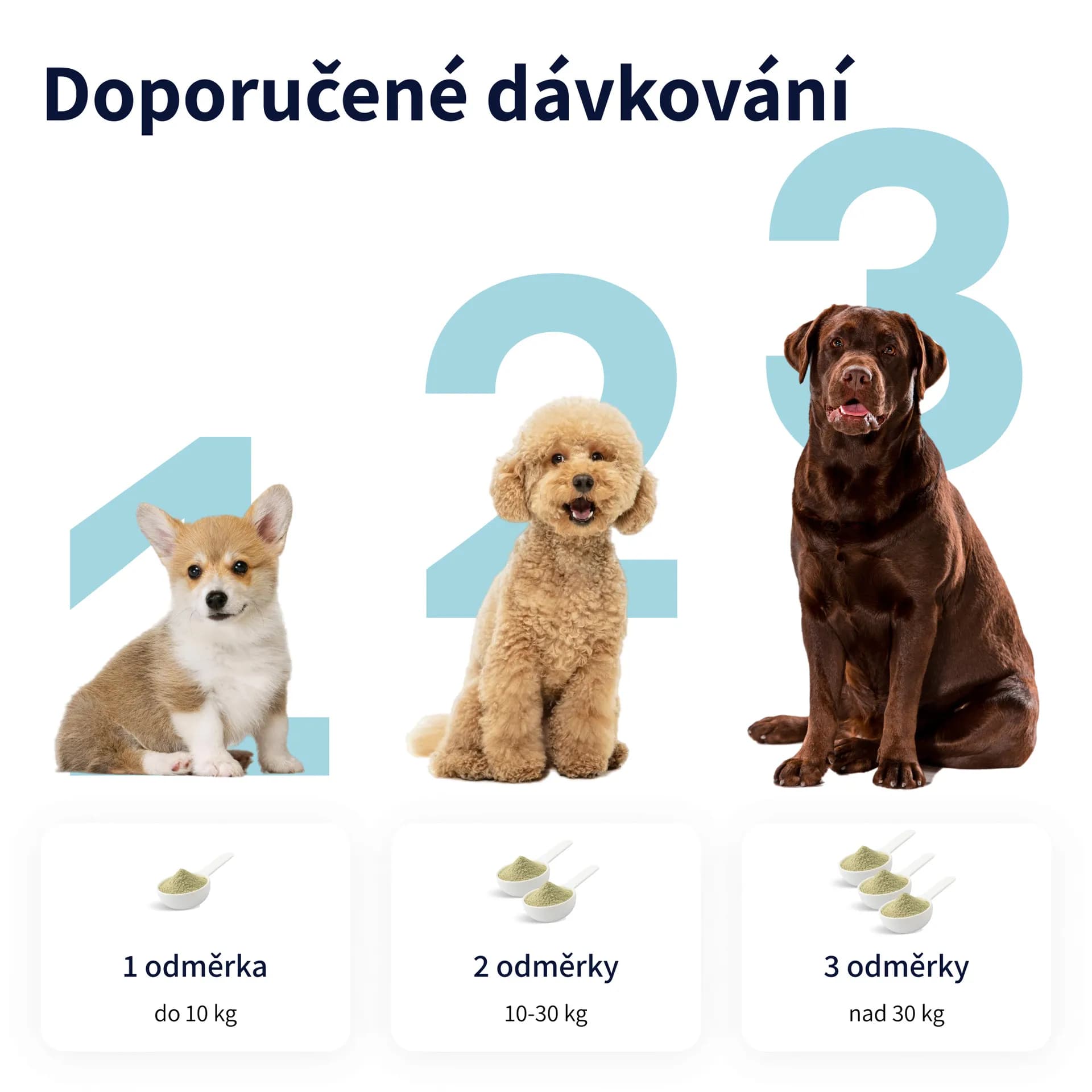 Tipaw Prášek pro péči o zuby 120g